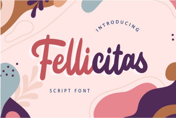 Fellicitas: A Modern Script Font