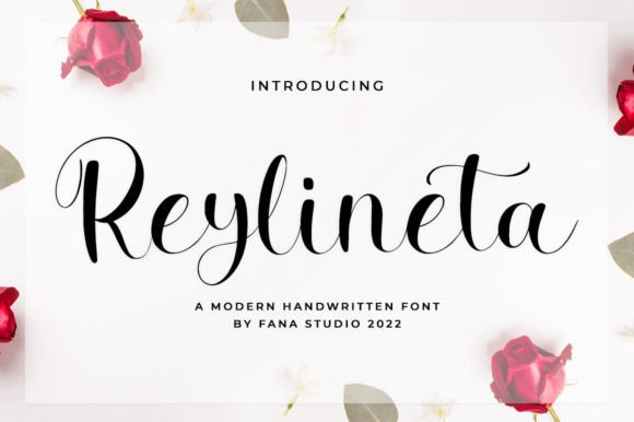 Reylineta: A Font That Elevates Your Brand